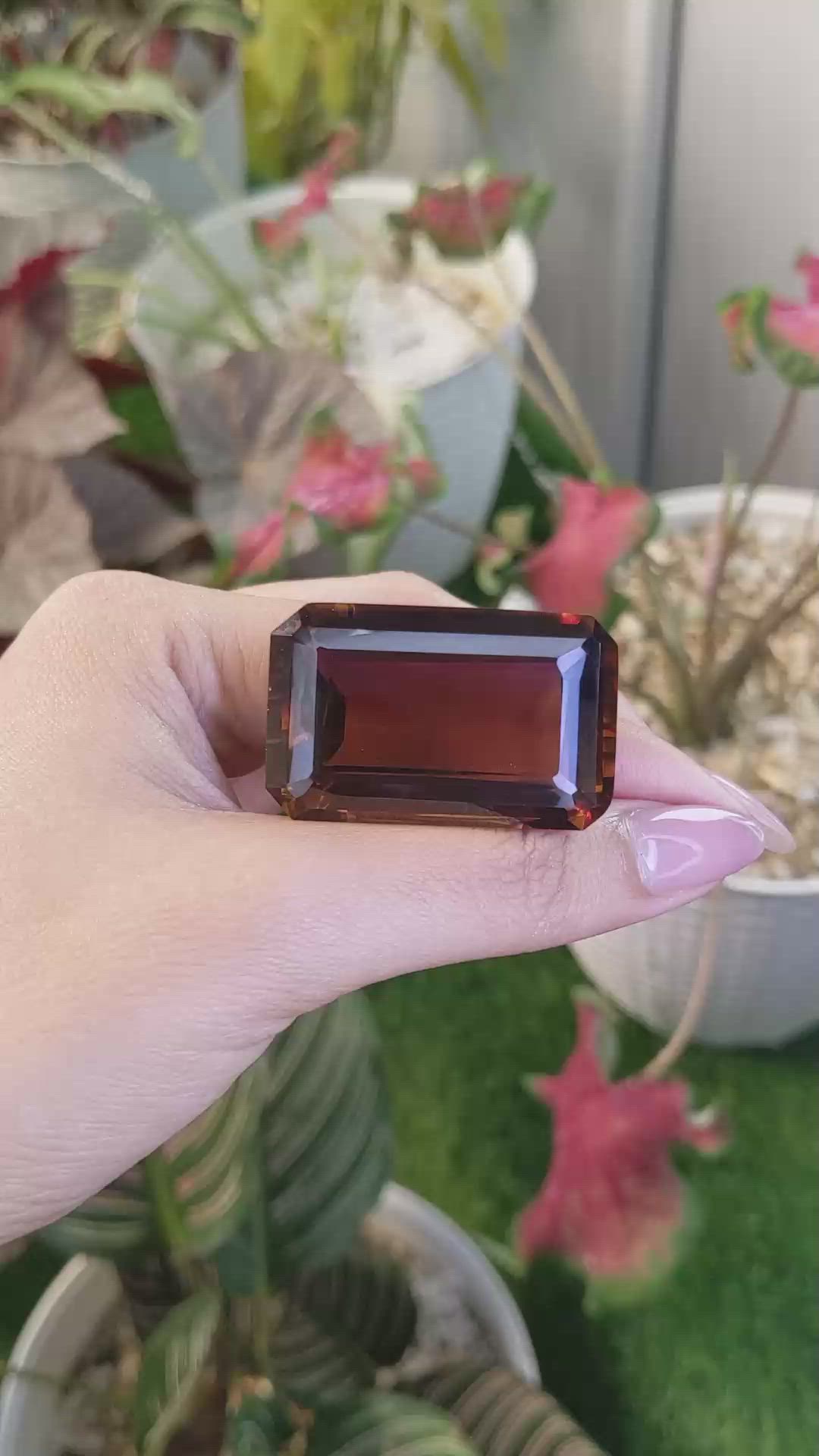 127.17 Ct. Bi Color Ametrine from Ceylon (Sri Lanka) Size Video