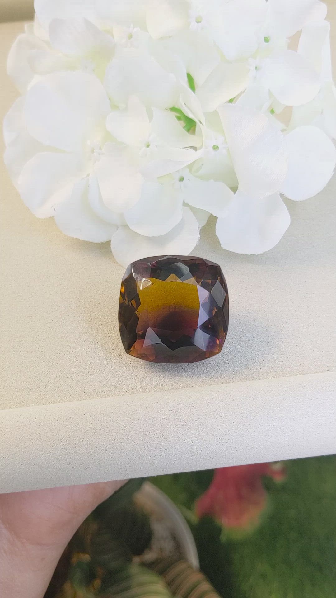 107.55 Ct. Bi Color Ametrine from Ceylon (Sri Lanka) Size Video