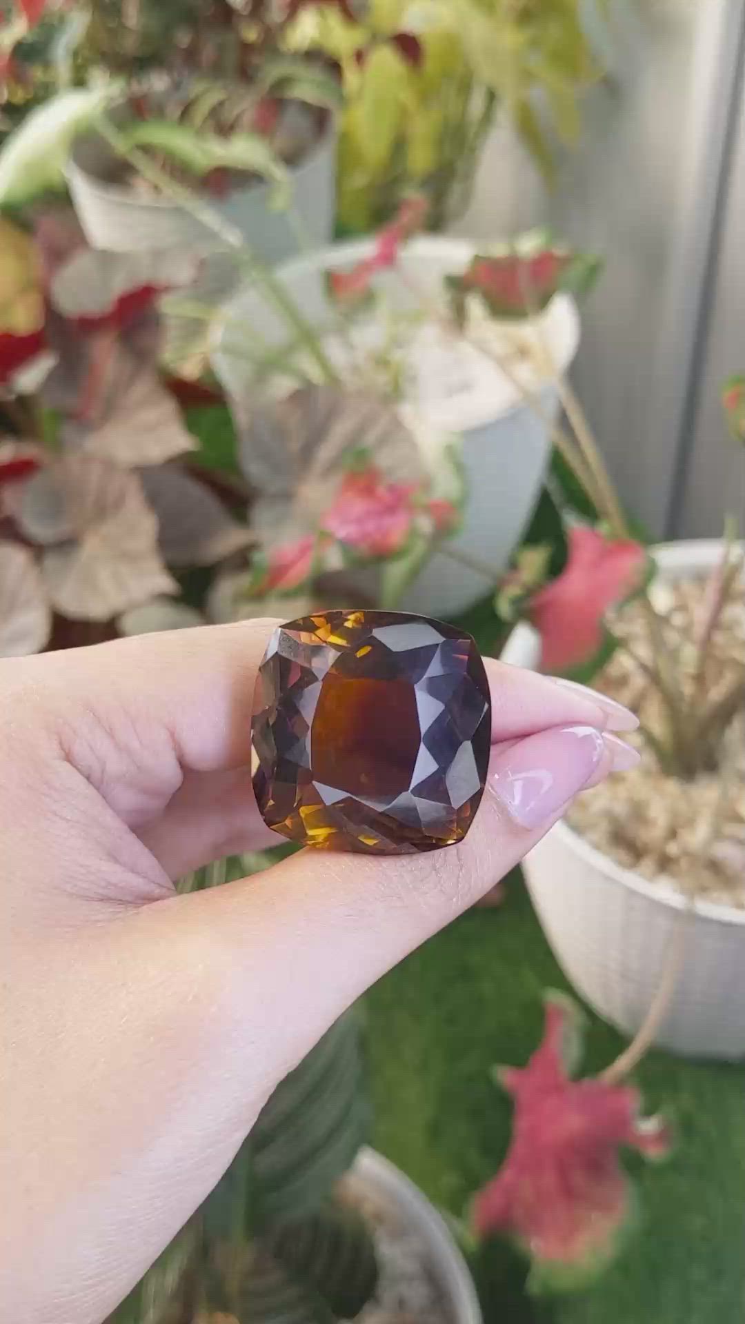 107.55 Ct. Bi Color Ametrine from Ceylon (Sri Lanka) Size Video