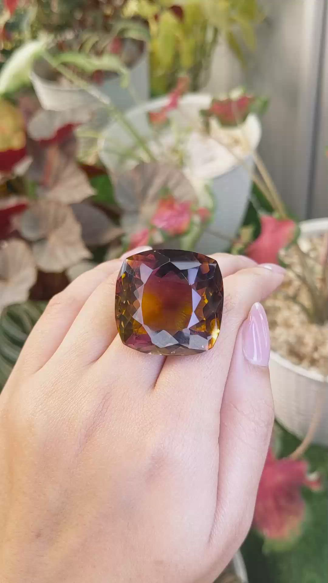 107.55 Ct. Bi Color Ametrine from Ceylon (Sri Lanka) Size Video
