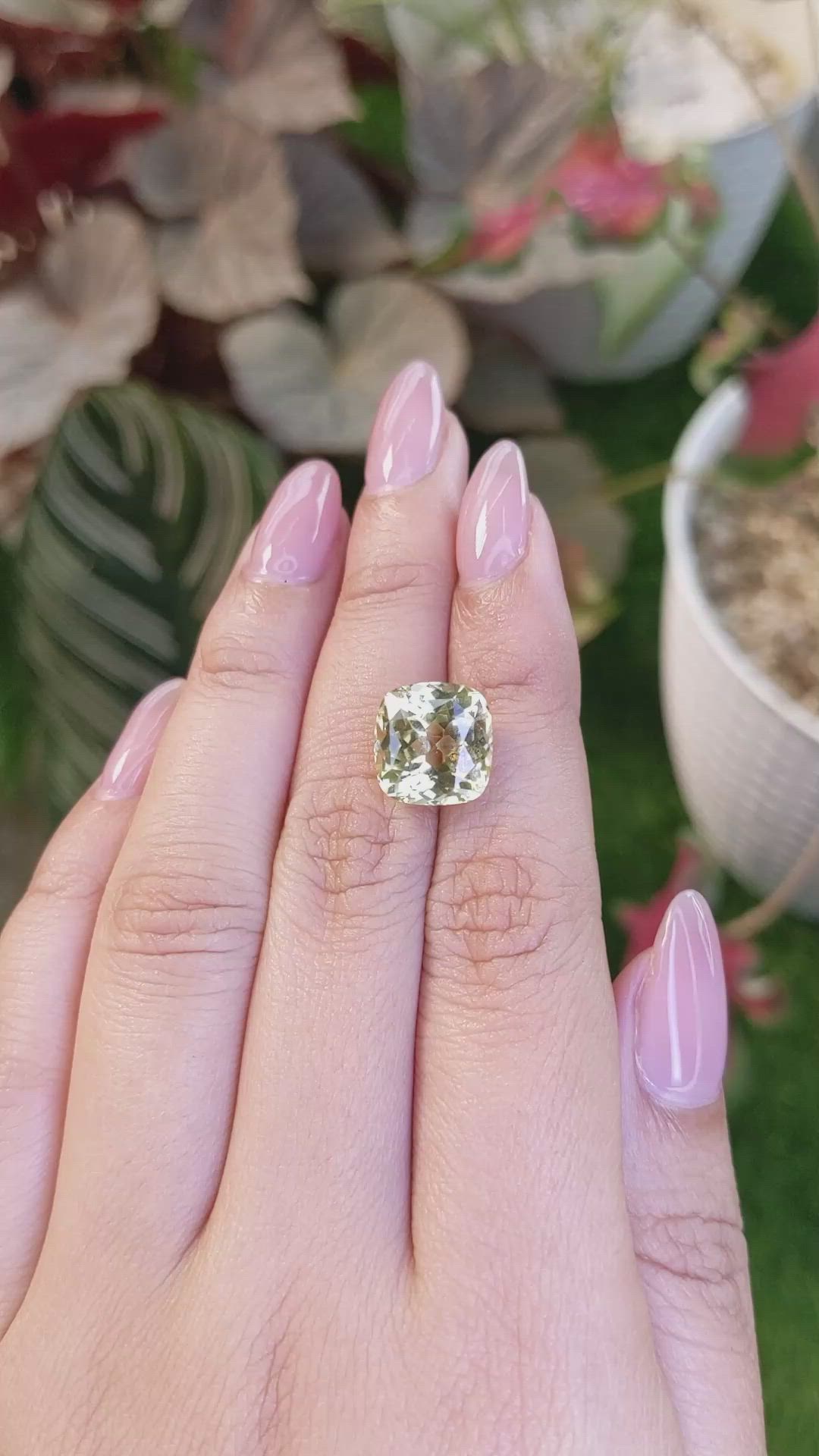 8.30 Ct. Greenish Yellow Chrysoberyl from Ceylon (Sri Lanka) Size Video