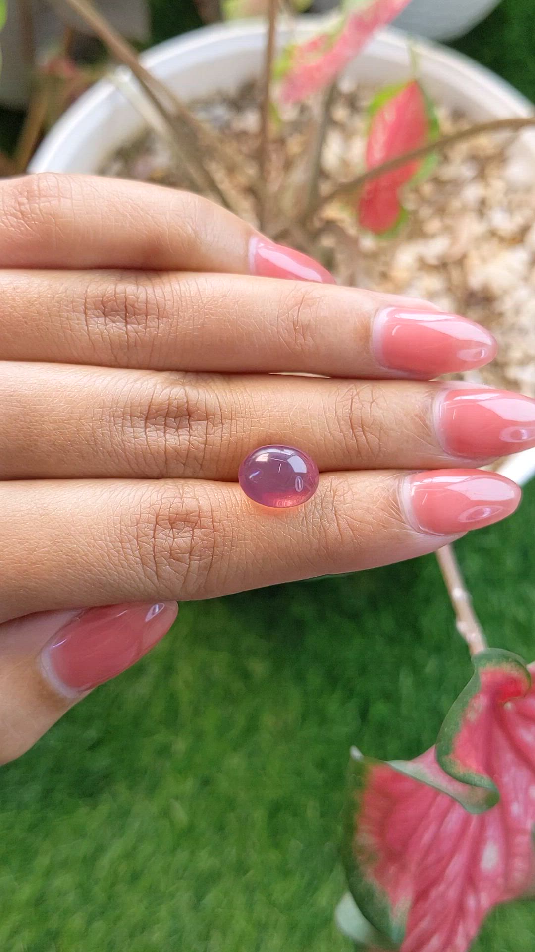 5.46 Ct. Pink Star Rose Quartz from Ceylon (Sri Lanka) Size Video