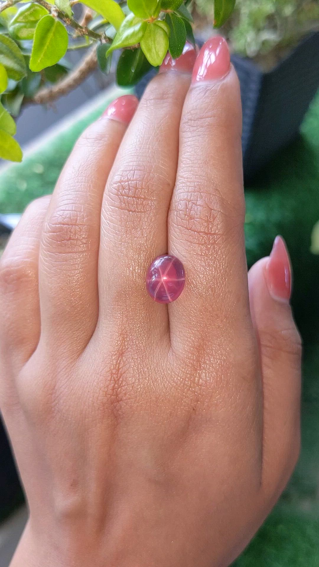 5.46 Ct. Pink Star Rose Quartz from Ceylon (Sri Lanka) Size Video