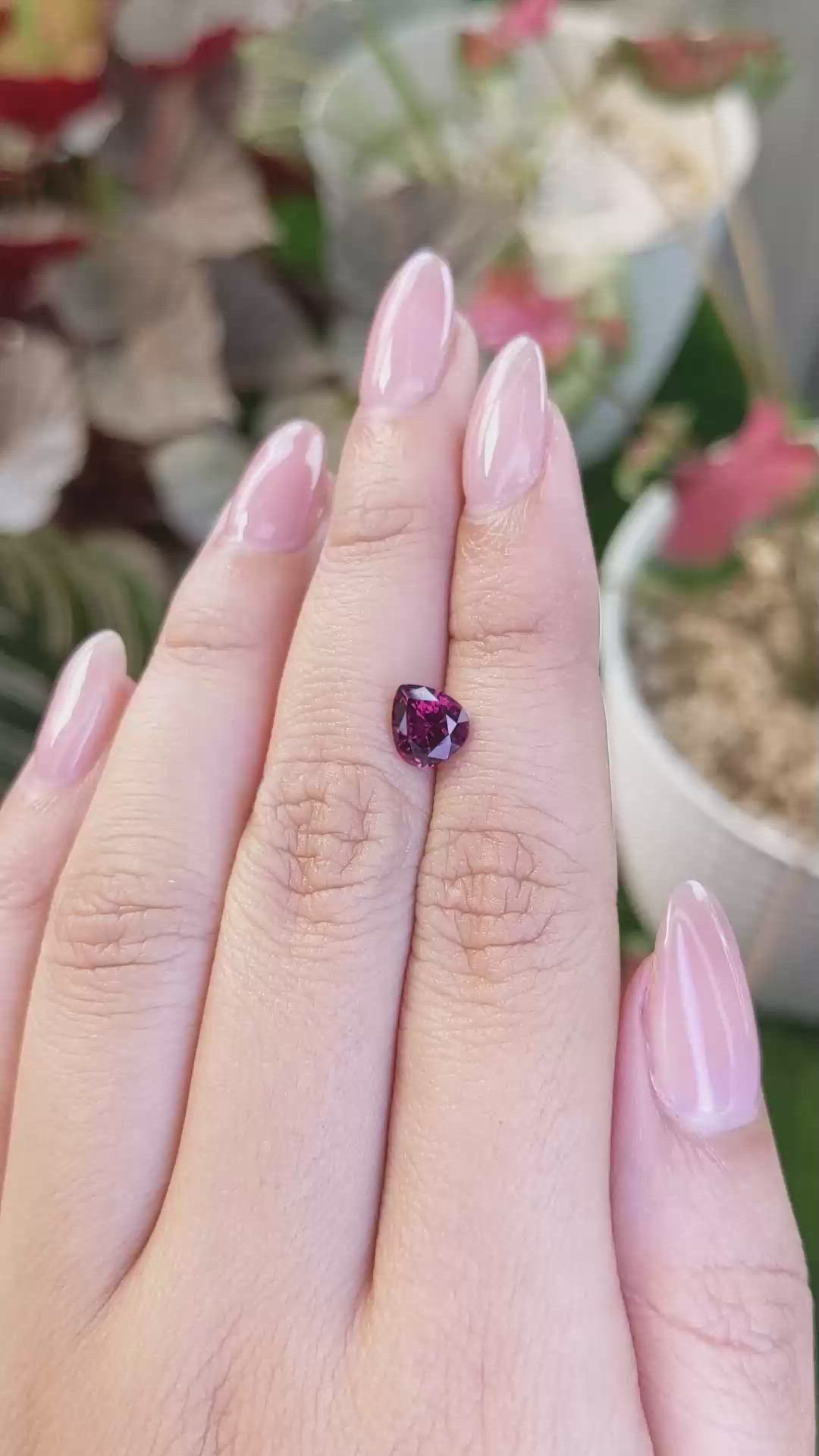 1.45 Ct. Purplish Red Rhodolite Garnet from Ceylon (Sri Lanka) Size Video