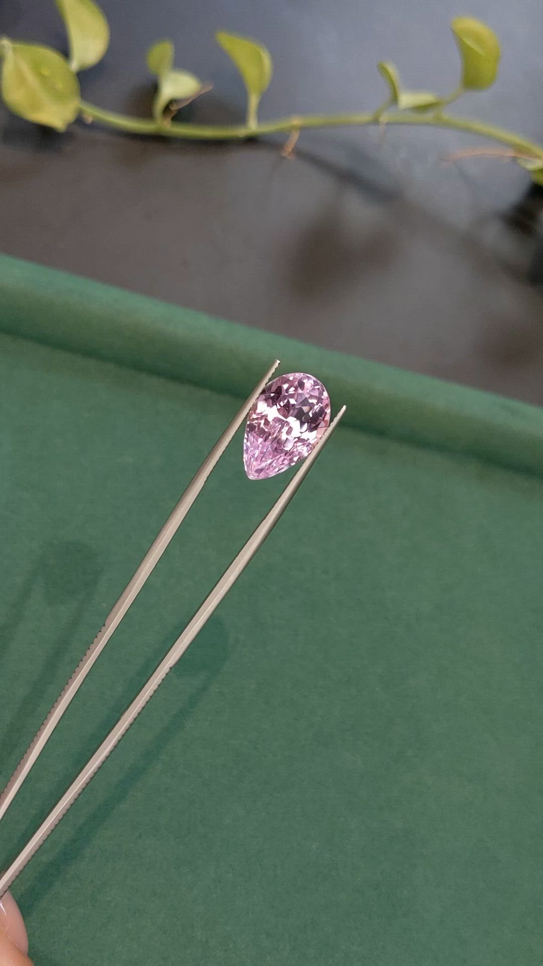 10.70 Ct. Pink Kunzite from Afghanistan Size Video
