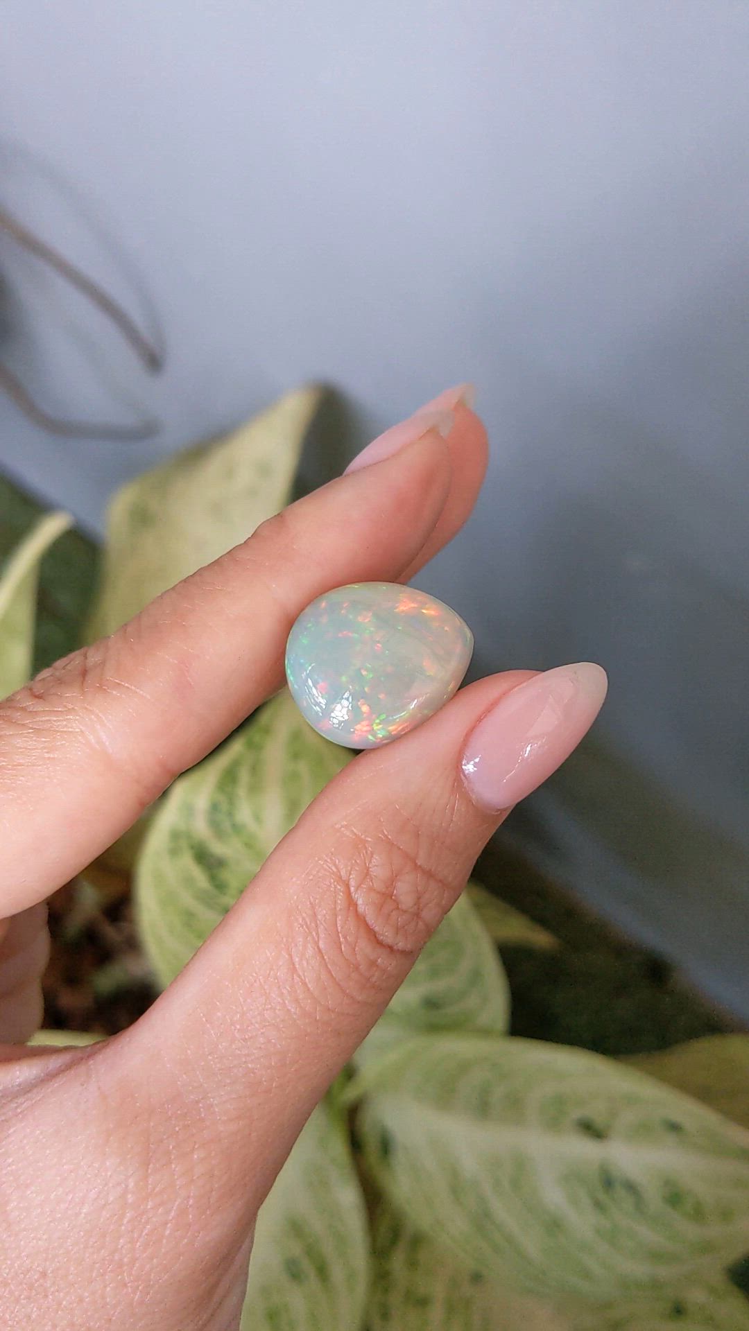 8.73 Ct. Multi Color Cabochon White Opal from Ethiopia Size Video