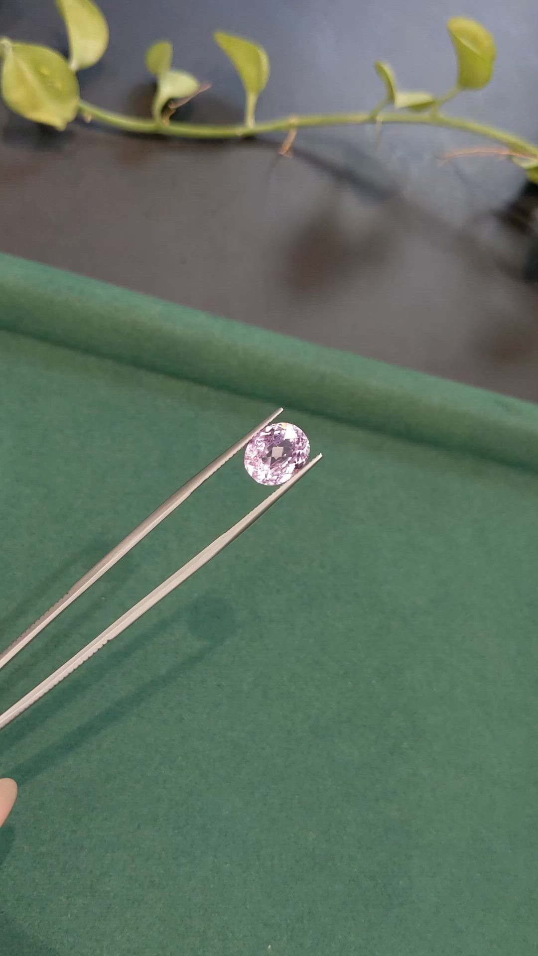 5.04 Ct. Pink Kunzite from Afghanistan Size Video