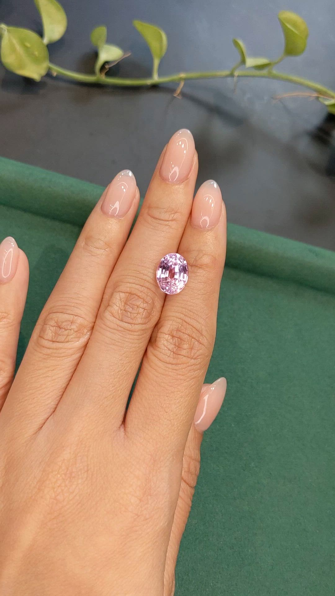 6.17 Ct. Purplish Pink Kunzite from Afghanistan Size Video