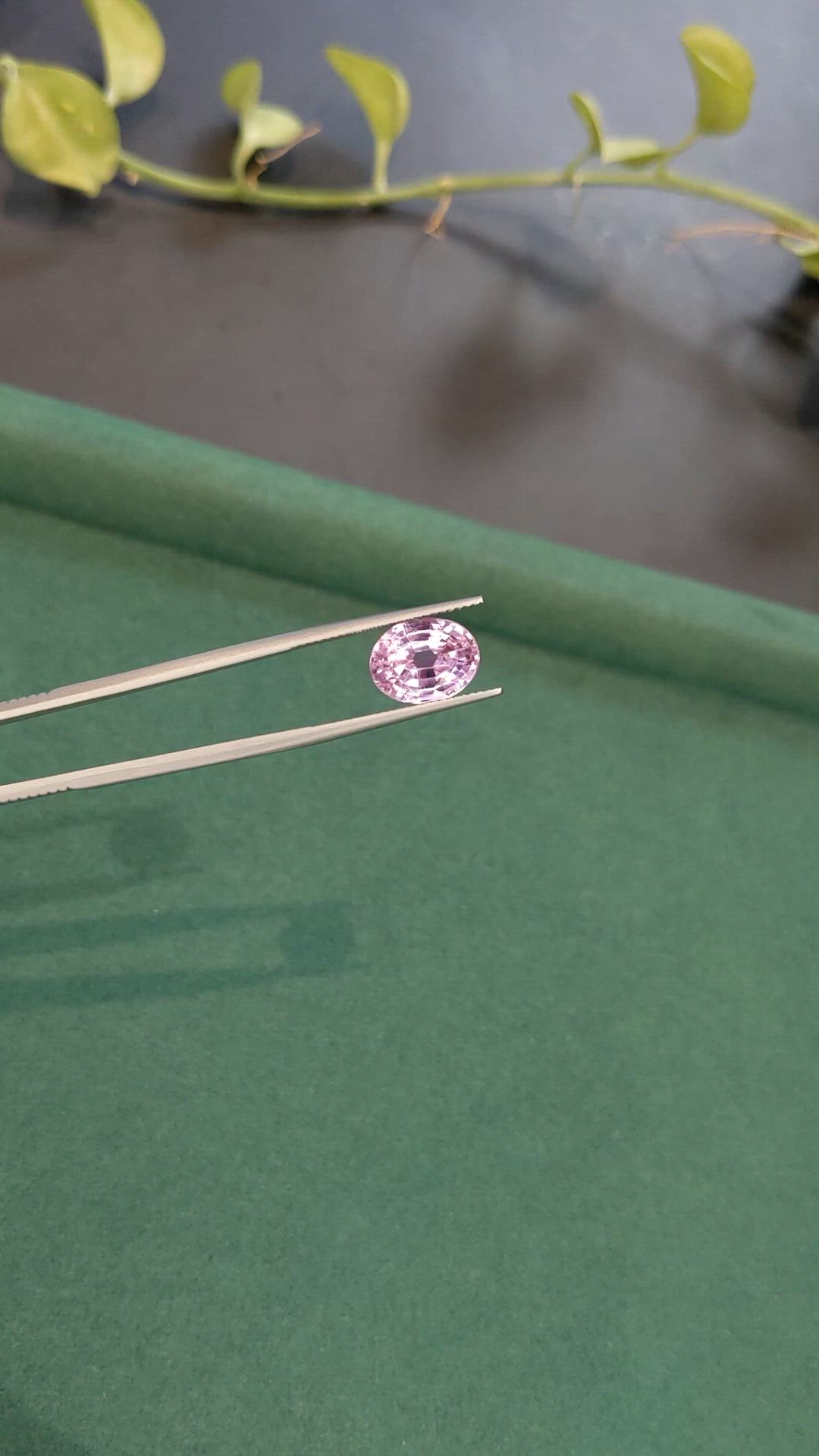 6.17 Ct. Purplish Pink Kunzite from Afghanistan Size Video