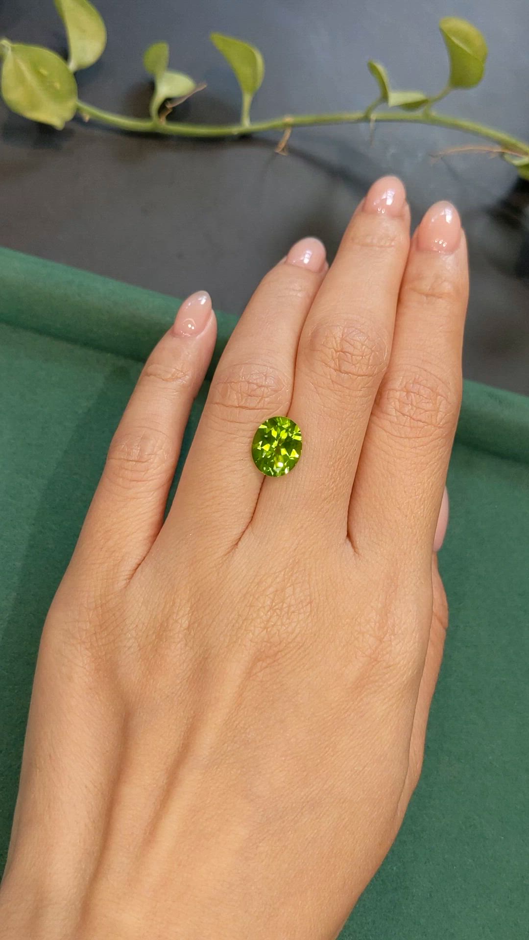 3.25 Ct. Yellowish Green Peridot from Burma (Myanmar) Size Video