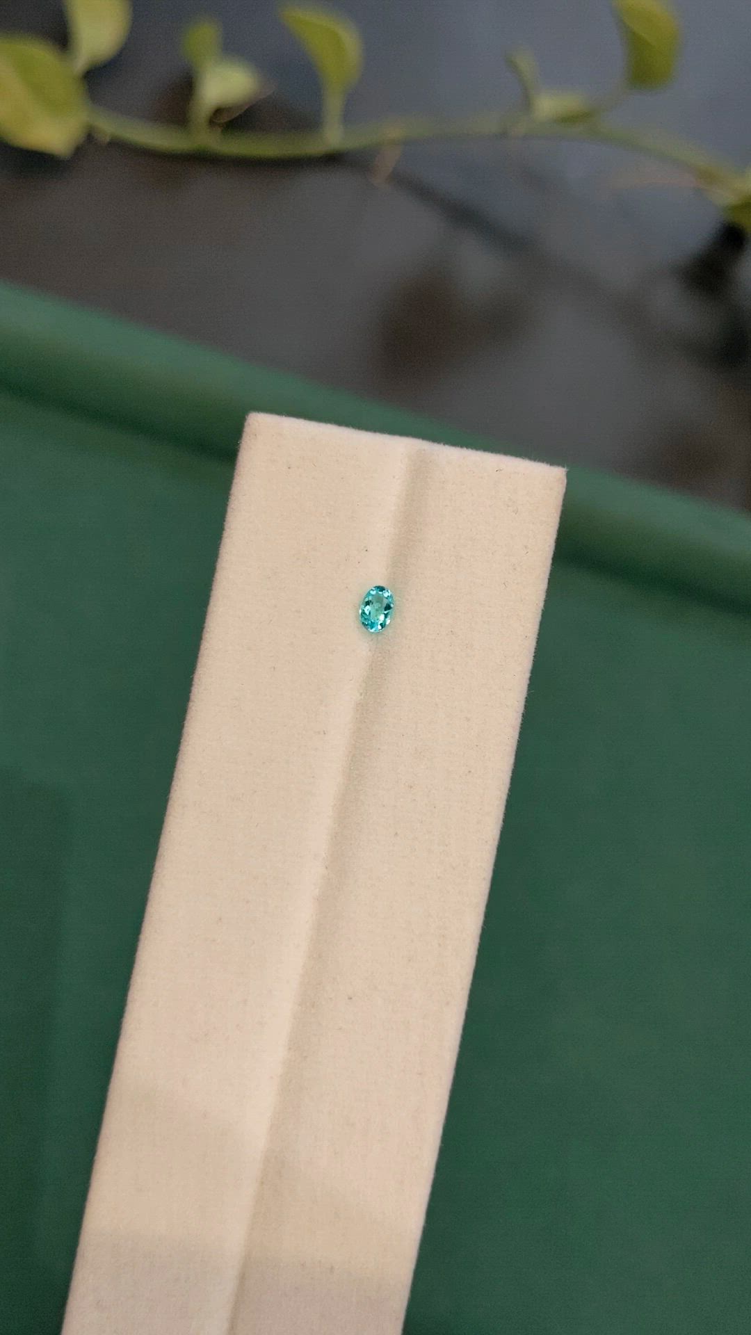 0.11 Ct. Greenish Blue Paraiba Tourmaline from Brazil Size Video