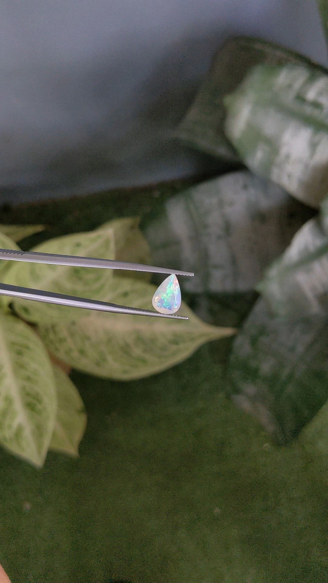 1.57 Ct. Multi Color White Opal from Ethiopia Size Video