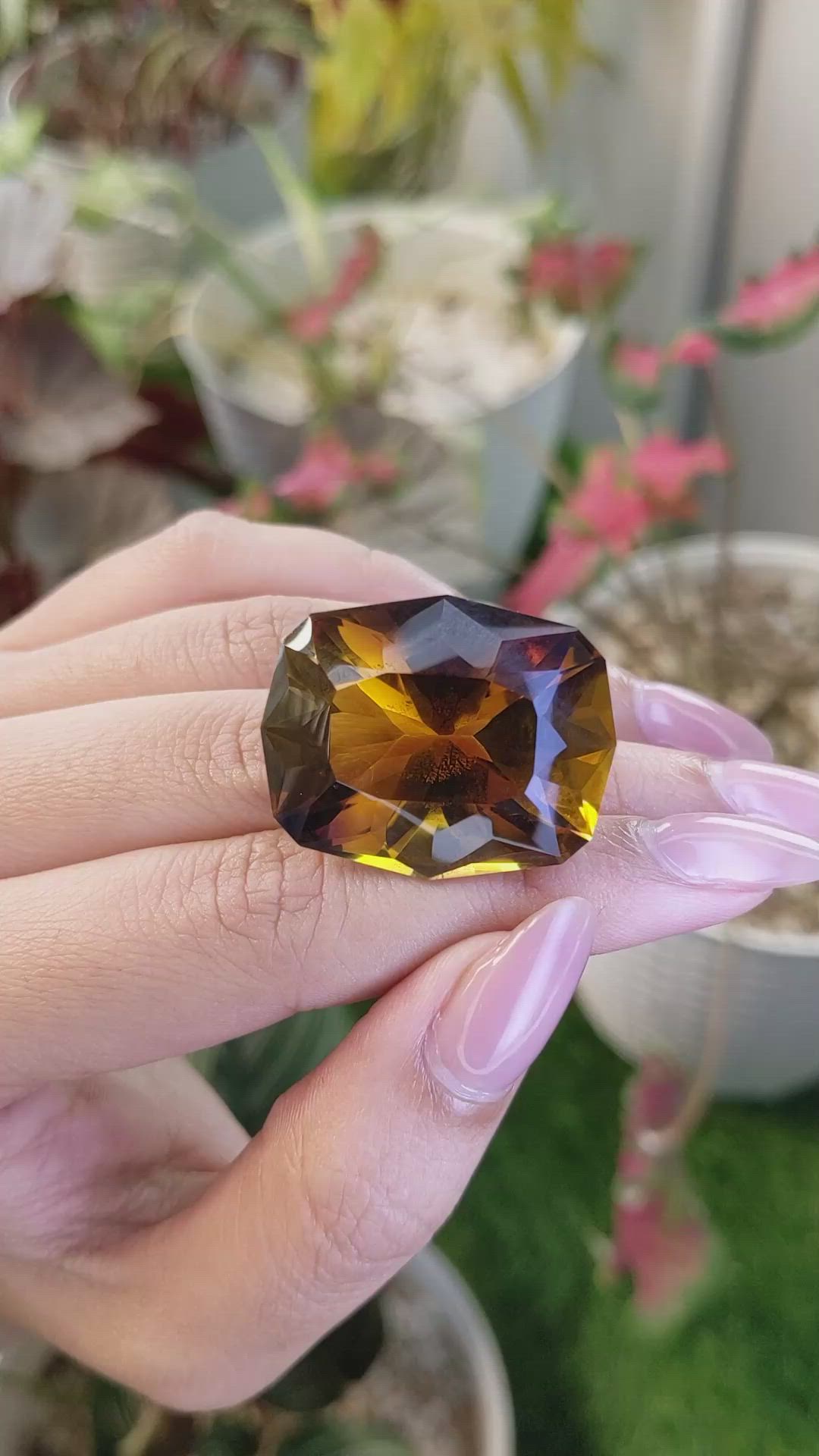 67.13 Ct. Bi Color Ametrine from Ceylon (Sri Lanka) Size Video