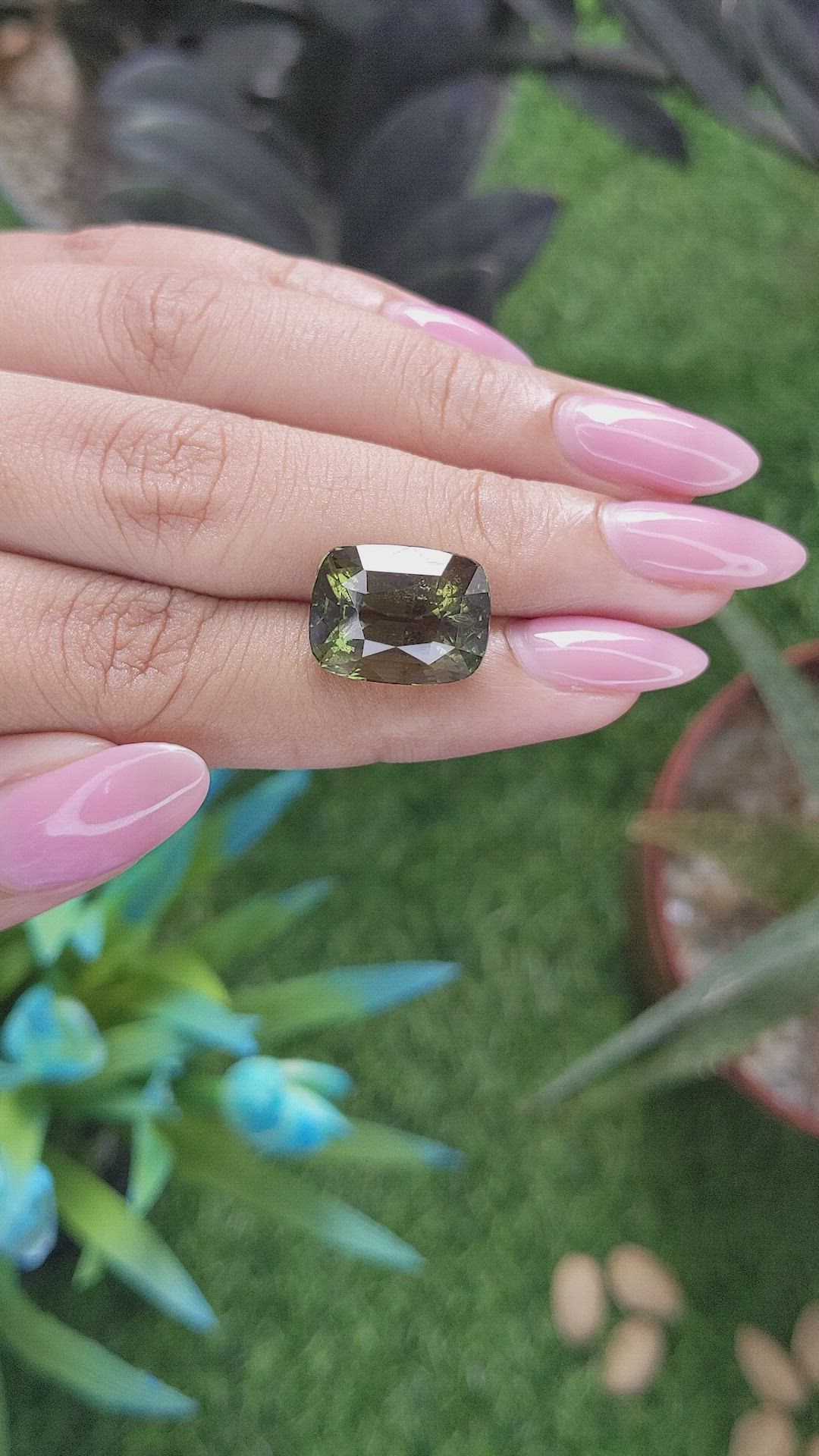 14.50 Ct. Alexandrite from Ceylon (Sri Lanka) Size Video