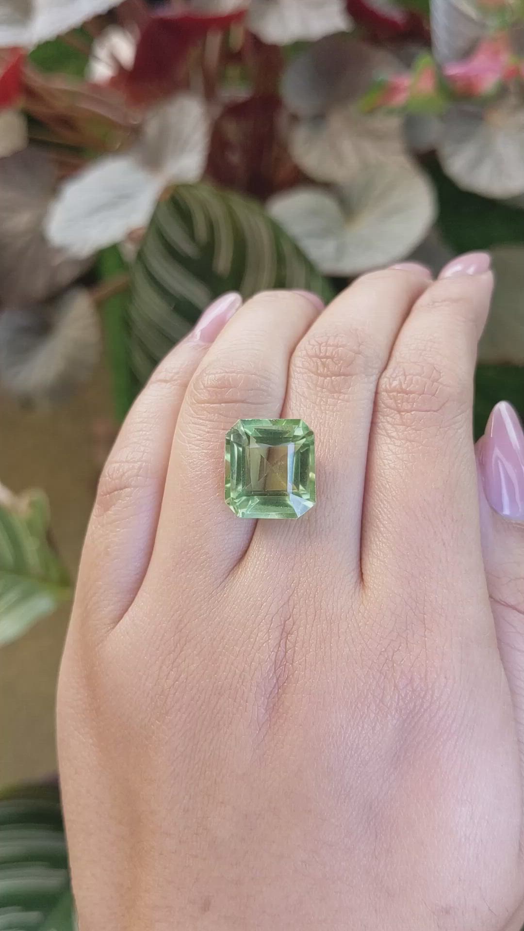 12.30 Ct. Yellowish Green Prasiolite from Brazil Size Video