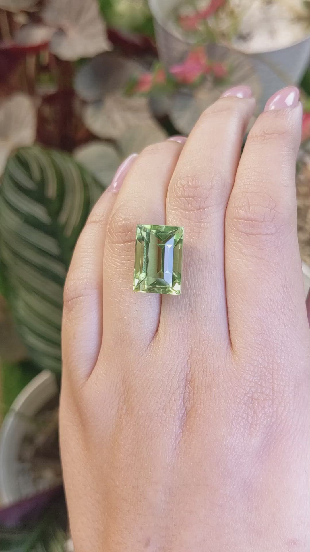 12.50 Ct. Yellowish Green Prasiolite from Brazil Size Video