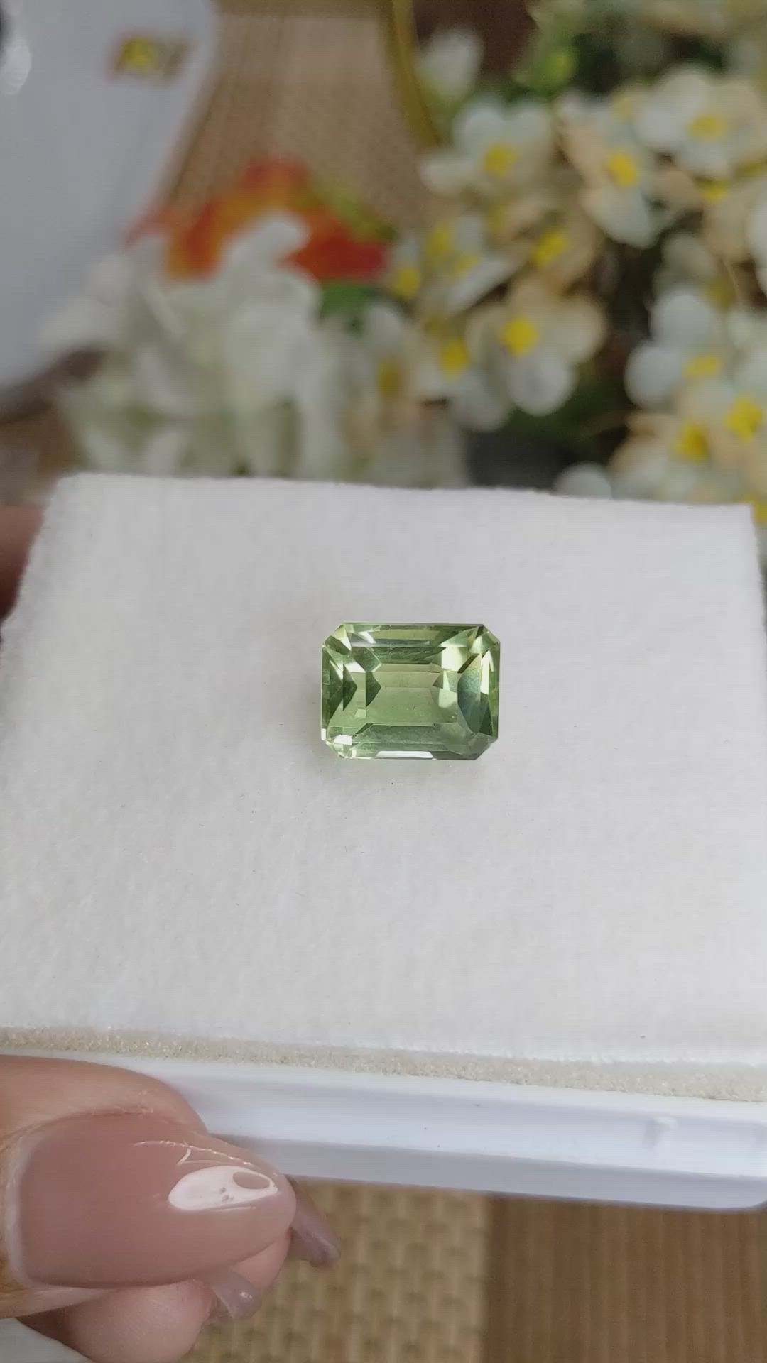 9.81 Ct. Yellowish Green Prasiolite from Brazil Size Video