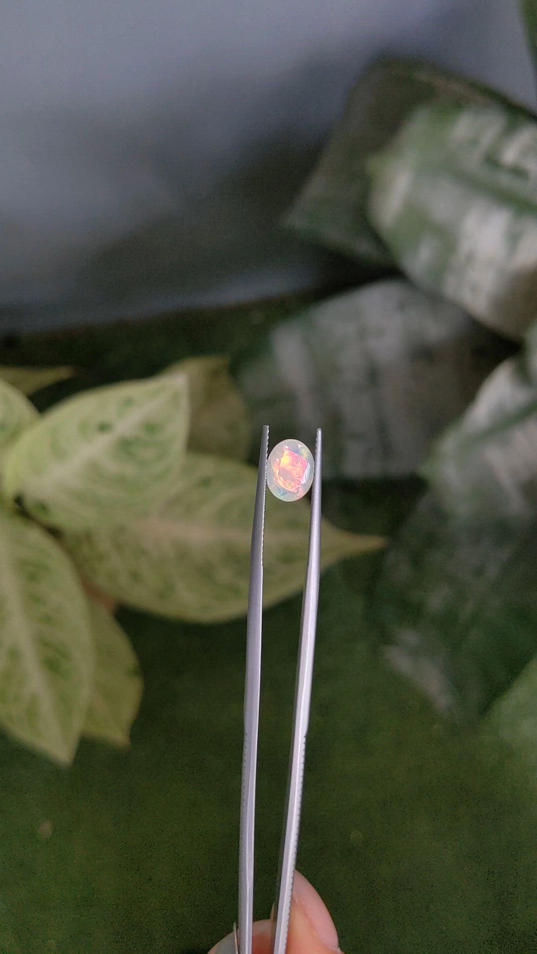 1.23 Ct. Multi Color White Opal from Ethiopia Size Video
