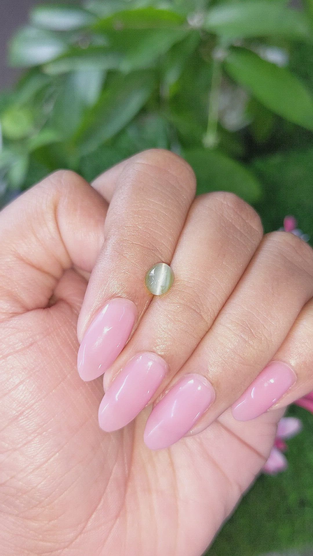 1.36 Ct. Green Cabochon Chrysoberyl from Ceylon (Sri Lanka) Size Video