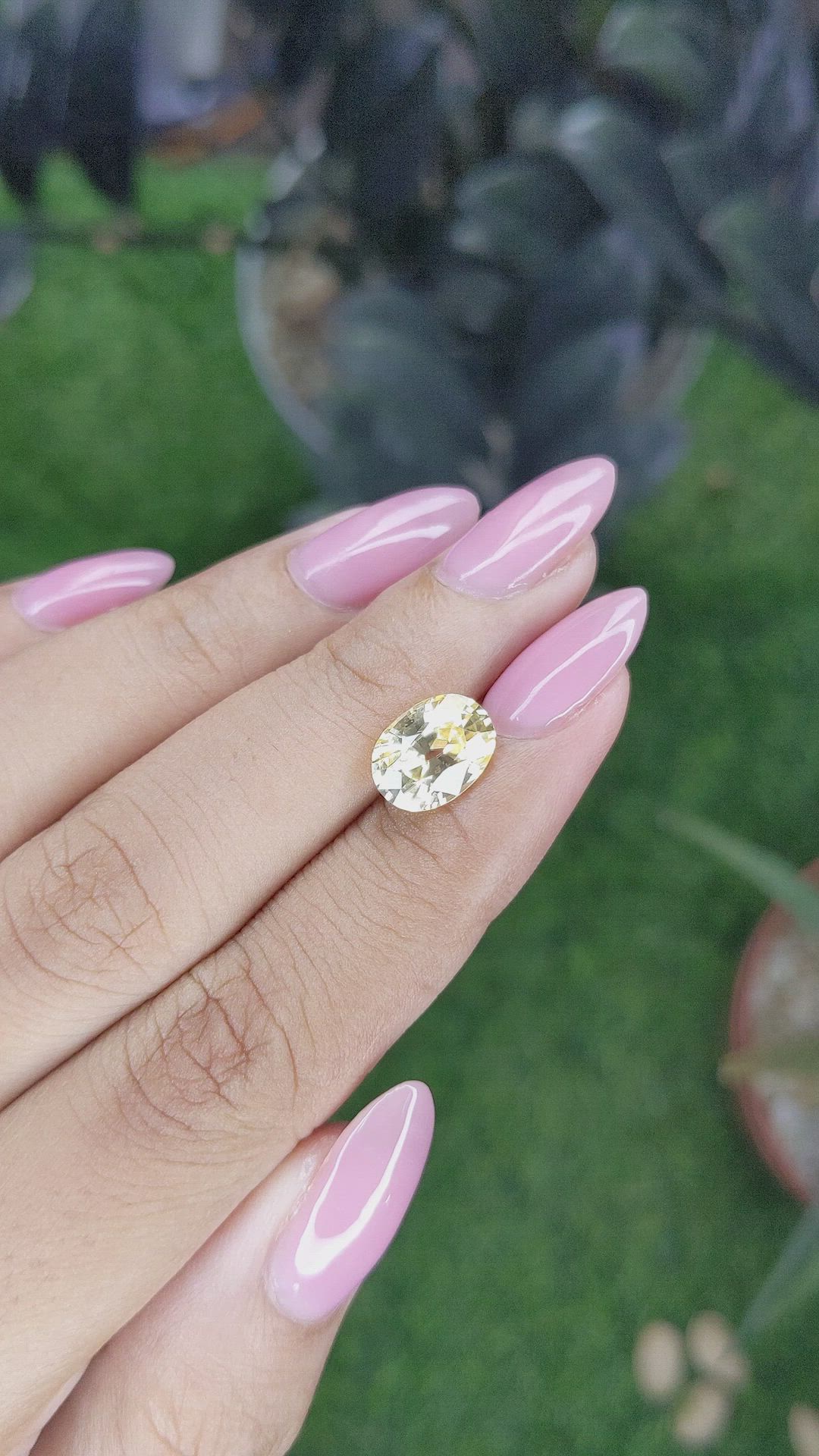3.83 Ct. Yellow Zircon from Ceylon (Sri Lanka) Size Video