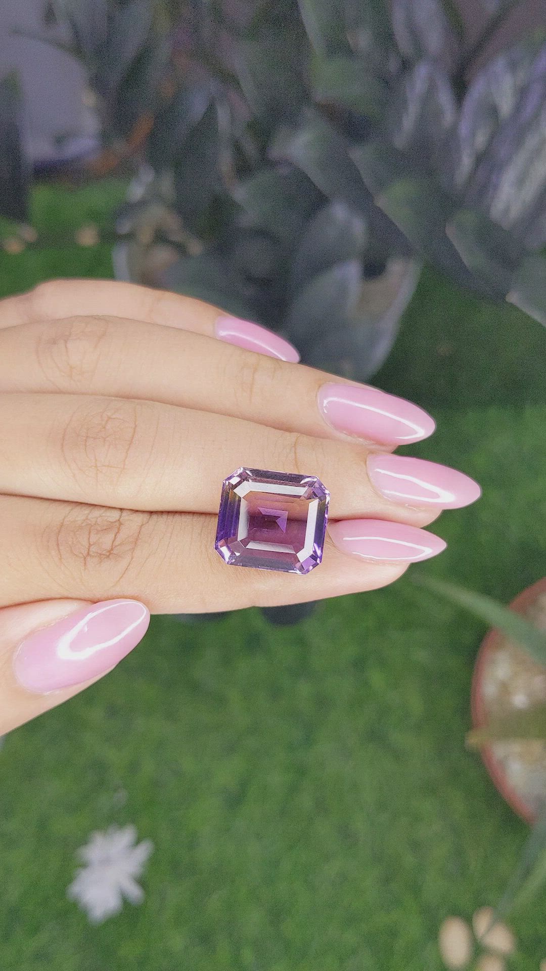 10.93 Ct. Bi Color Ametrine from Ceylon (Sri Lanka) Size Video