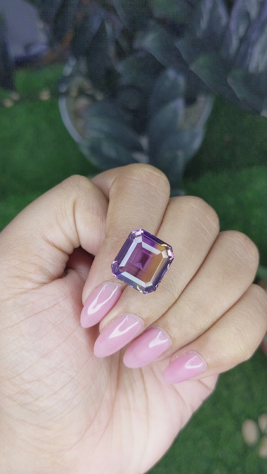 10.93 Ct. Bi Color Ametrine from Ceylon (Sri Lanka) Size Video