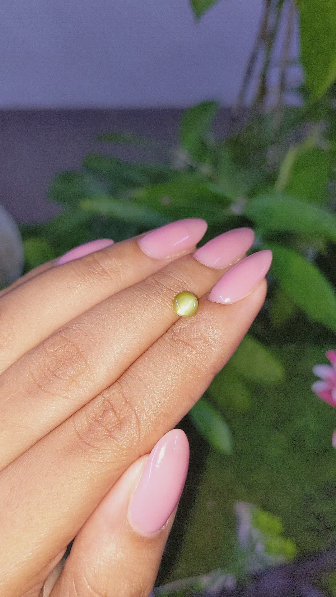 1.07 Ct. Green Cabochon Chrysoberyl from Ceylon (Sri Lanka) Size Video
