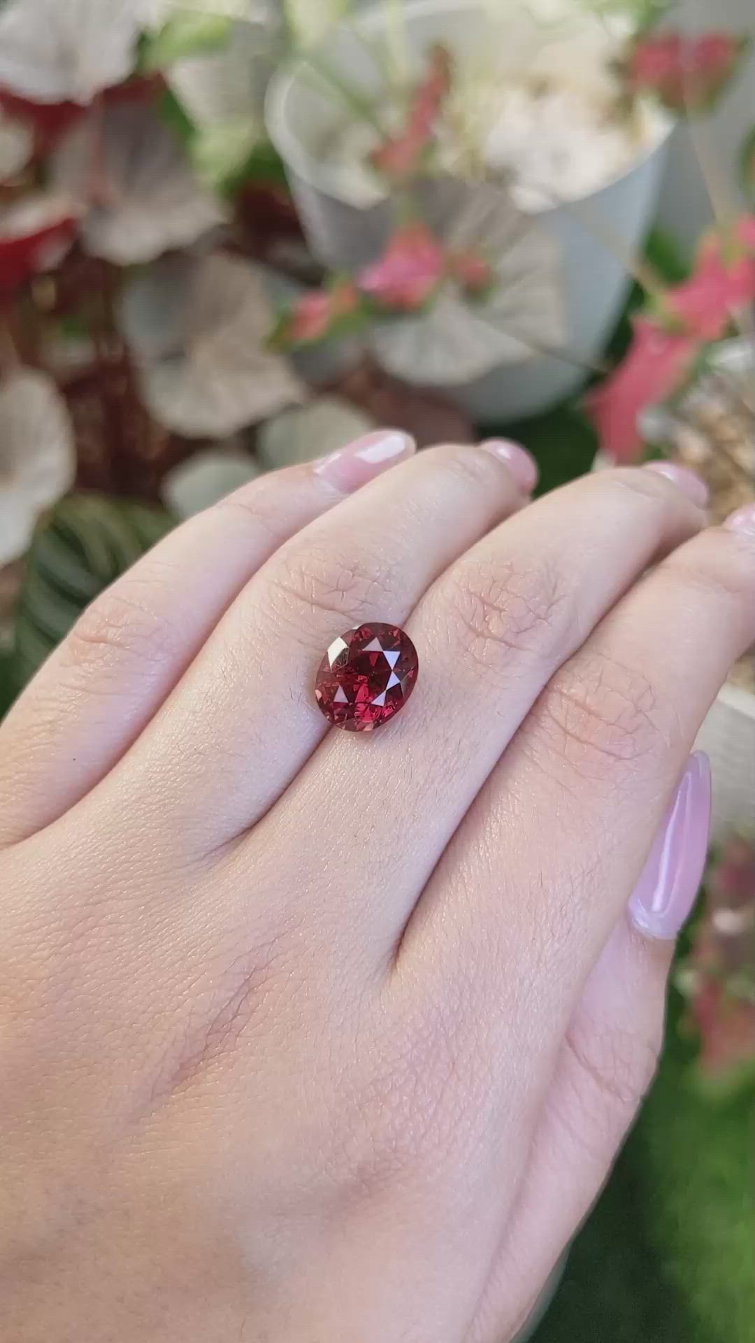 5.98 Ct. Red Garnet from Ceylon (Sri Lanka) Size Video