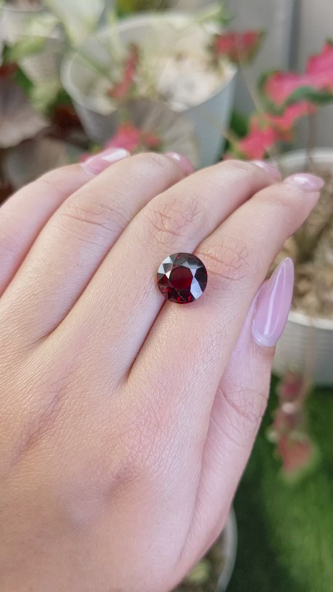 6.07 Ct. Red Garnet from Ceylon (Sri Lanka) Size Video