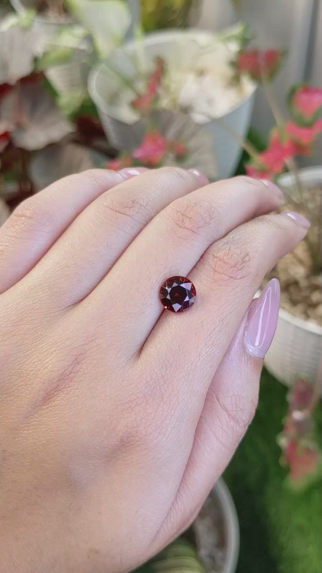 2.69 Ct. Red Garnet from Ceylon (Sri Lanka) Size Video