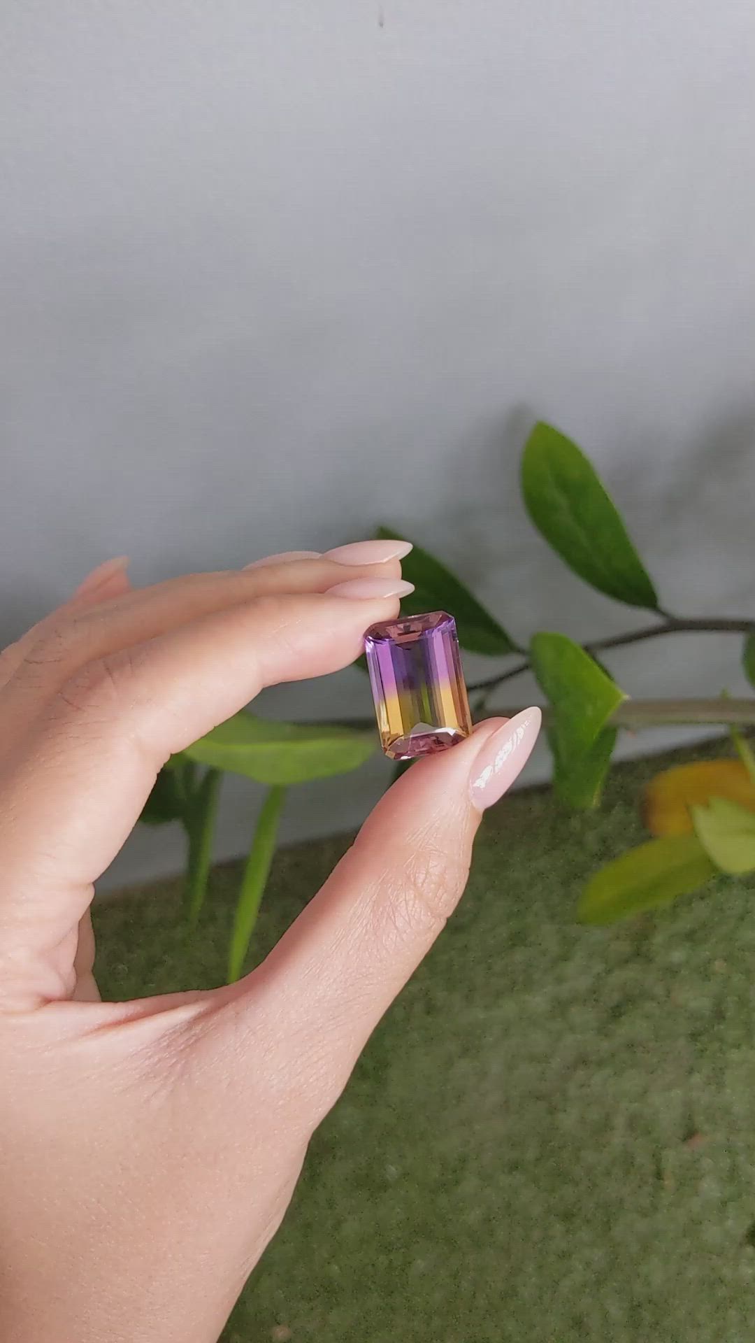 19.74 Ct. Bi Color Ametrine from Brazil Size Video