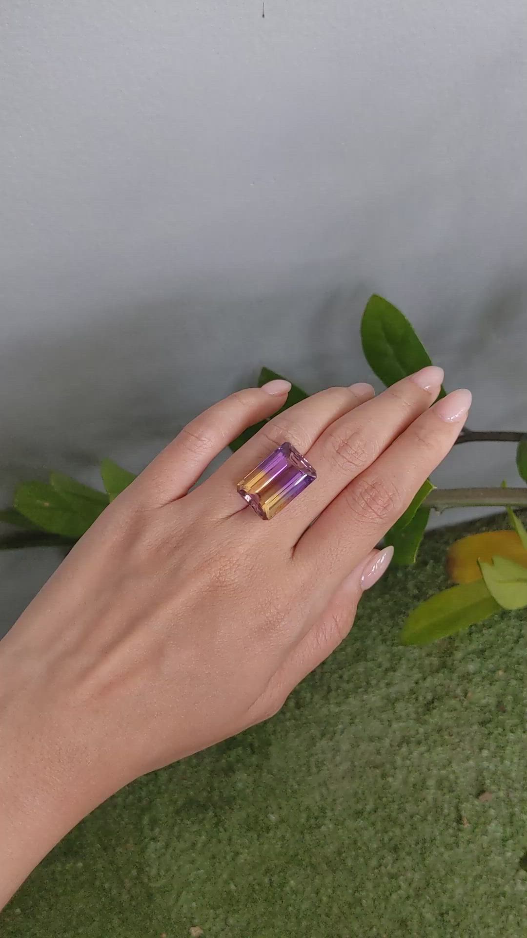 19.74 Ct. Bi Color Ametrine from Brazil Size Video