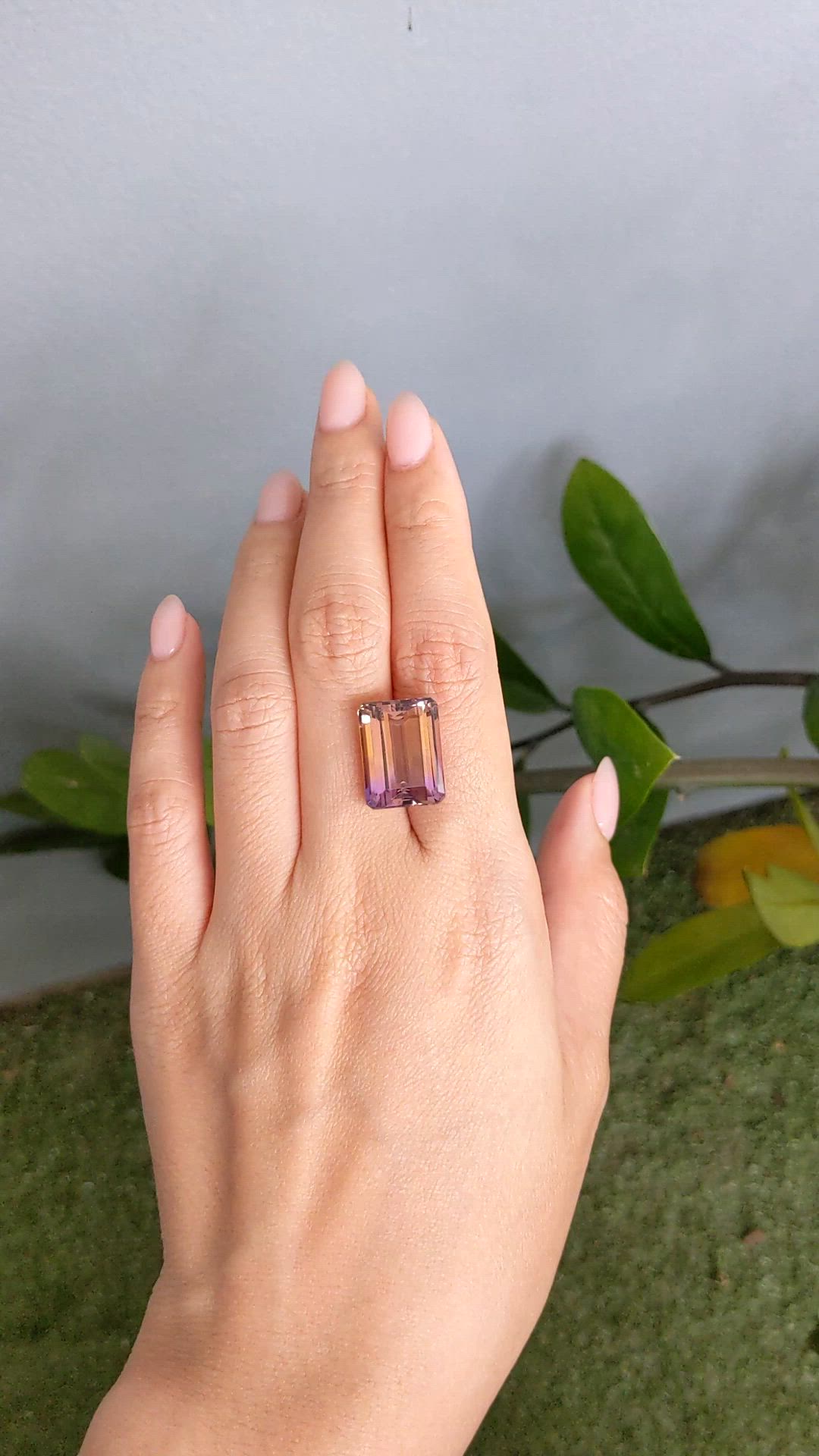 15.61 Ct. Bi Color Ametrine from Brazil Size Video