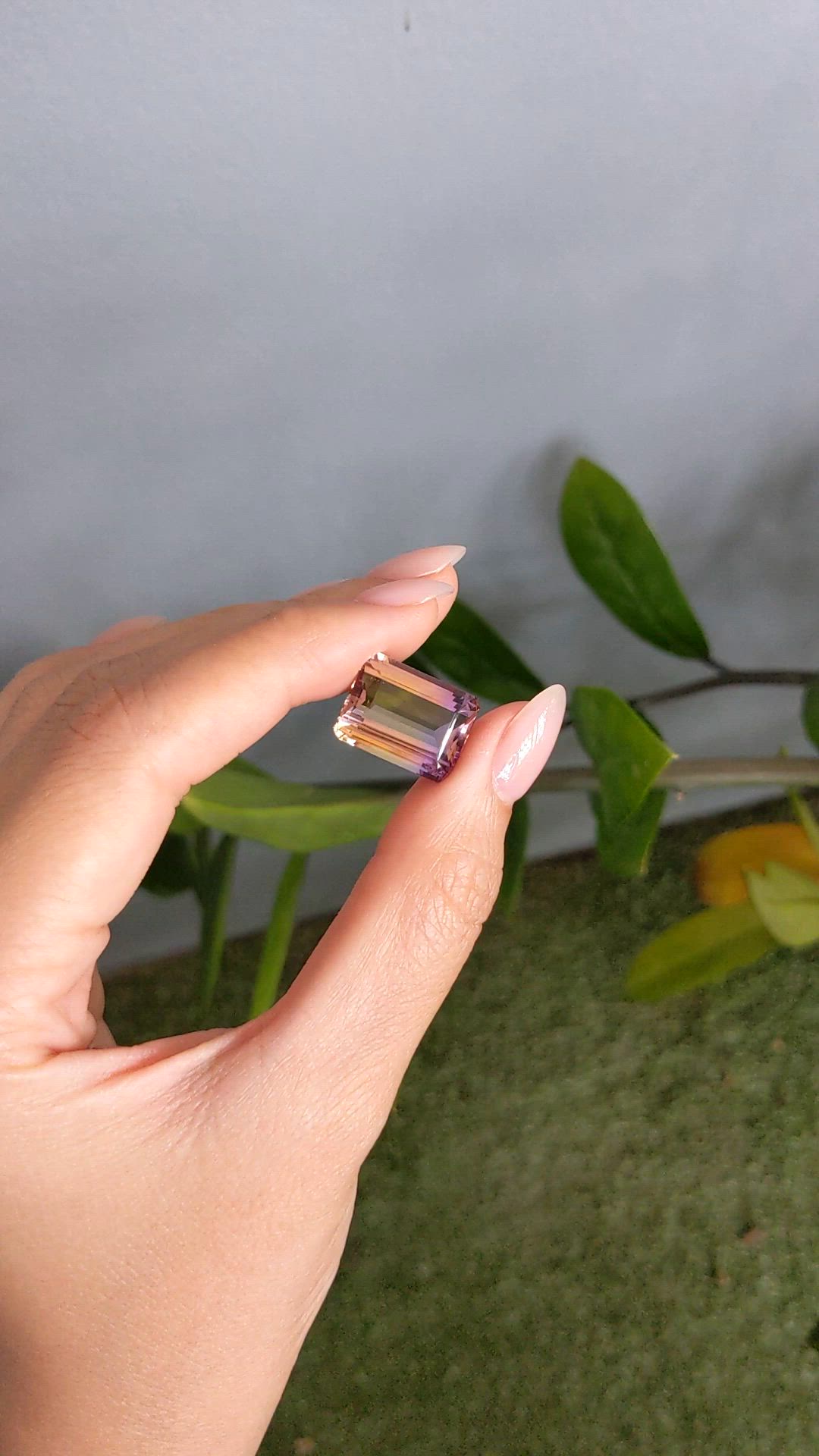 15.61 Ct. Bi Color Ametrine from Brazil Size Video