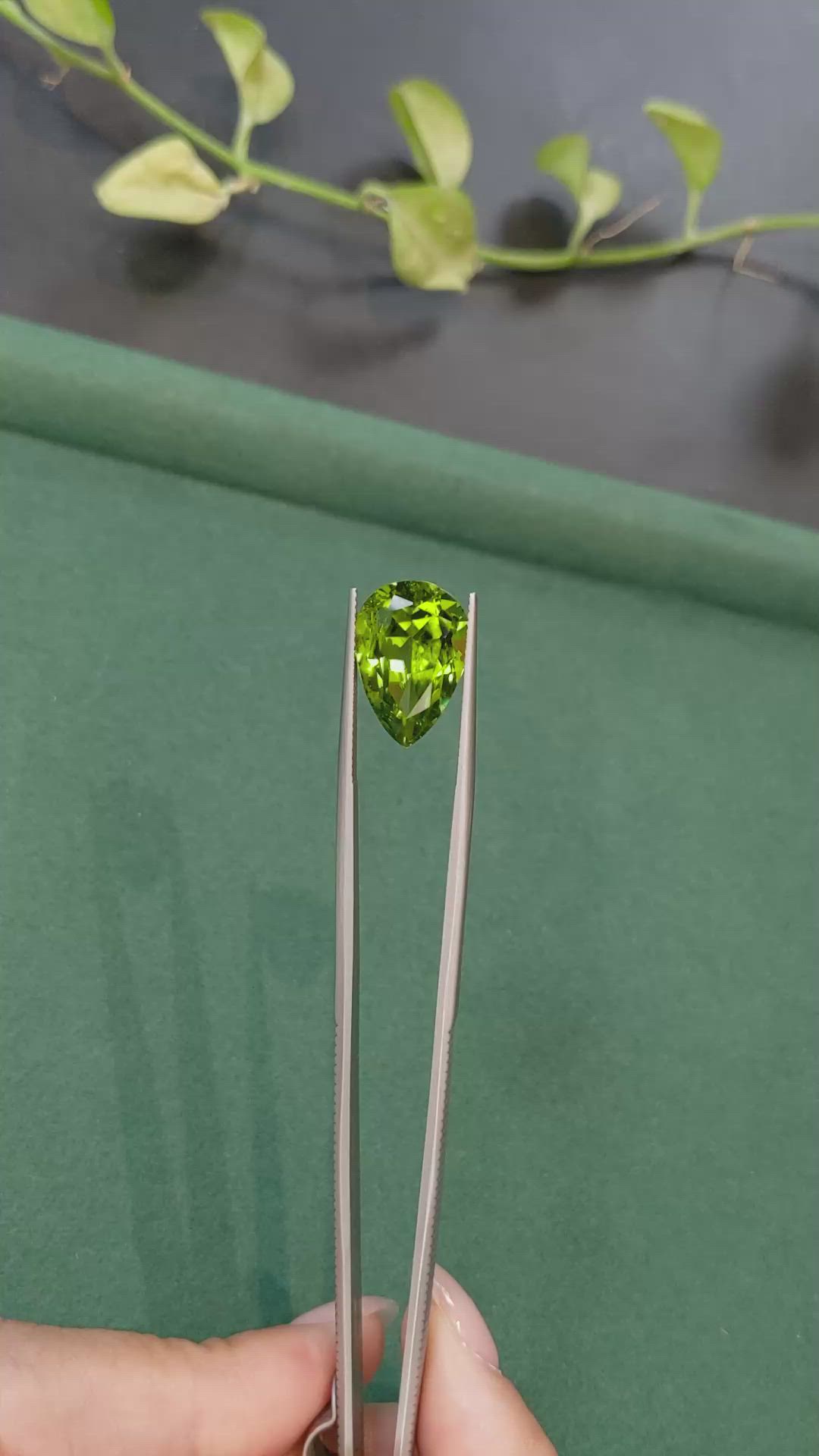 10.66 Ct. Green (Lime Green) Peridot from Burma (Myanmar) Size Video