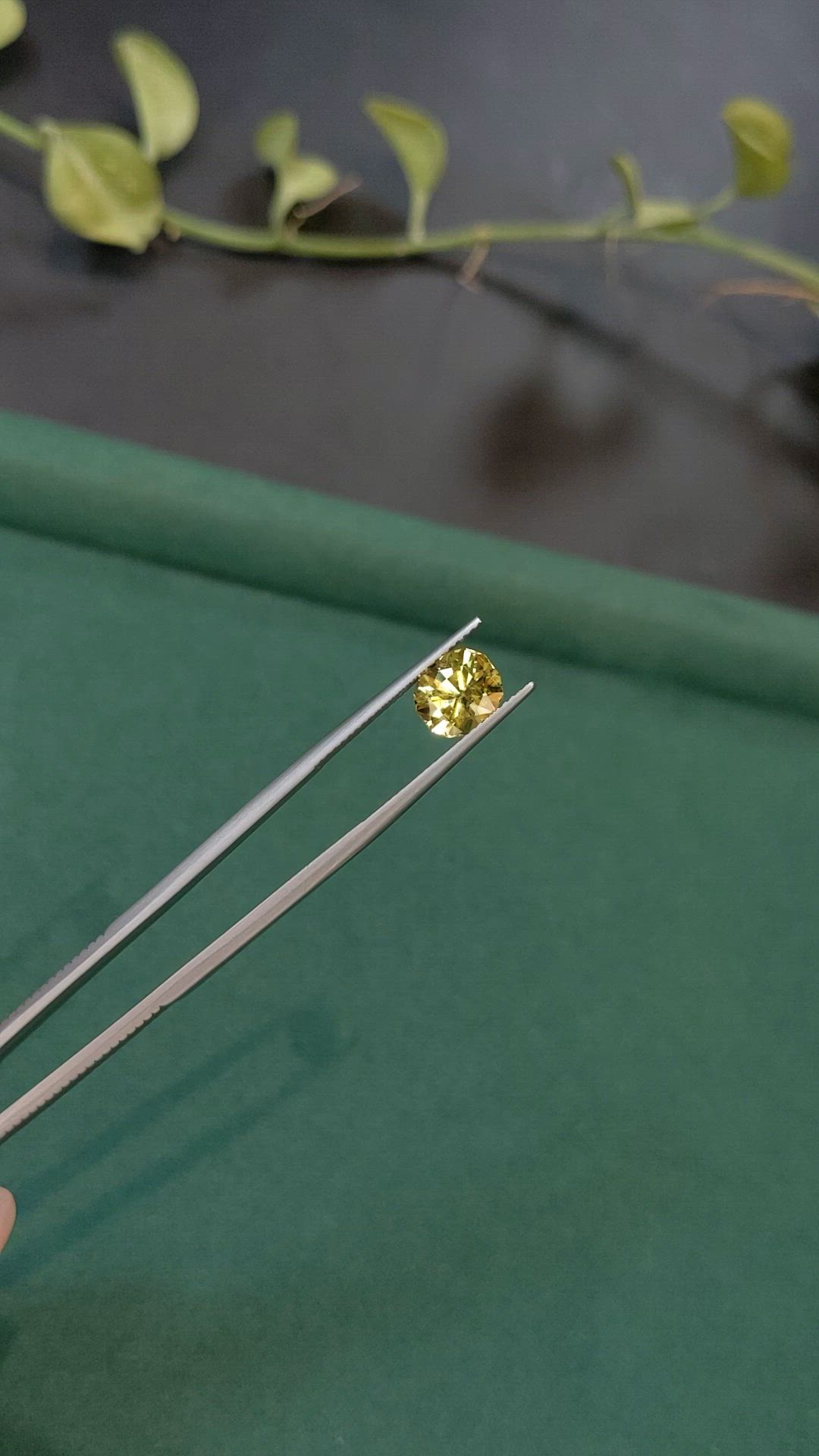 2.68 Ct. Yellow Chrysoberyl from Ceylon (Sri Lanka) Size Video