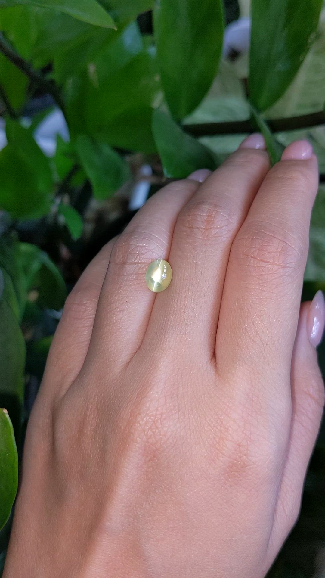 3.16 Ct. Greenish Yellow Cabochon Chrysoberyl from Ceylon (Sri Lanka) Size Video