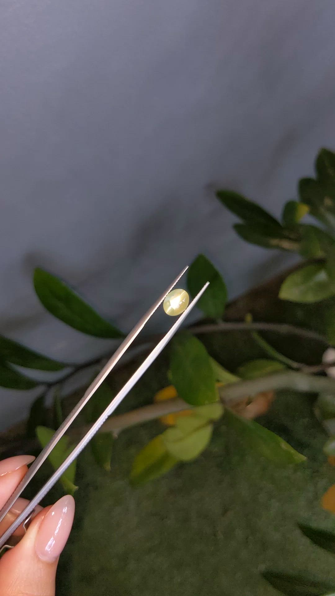 3.16 Ct. Greenish Yellow Cabochon Chrysoberyl from Ceylon (Sri Lanka) Size Video