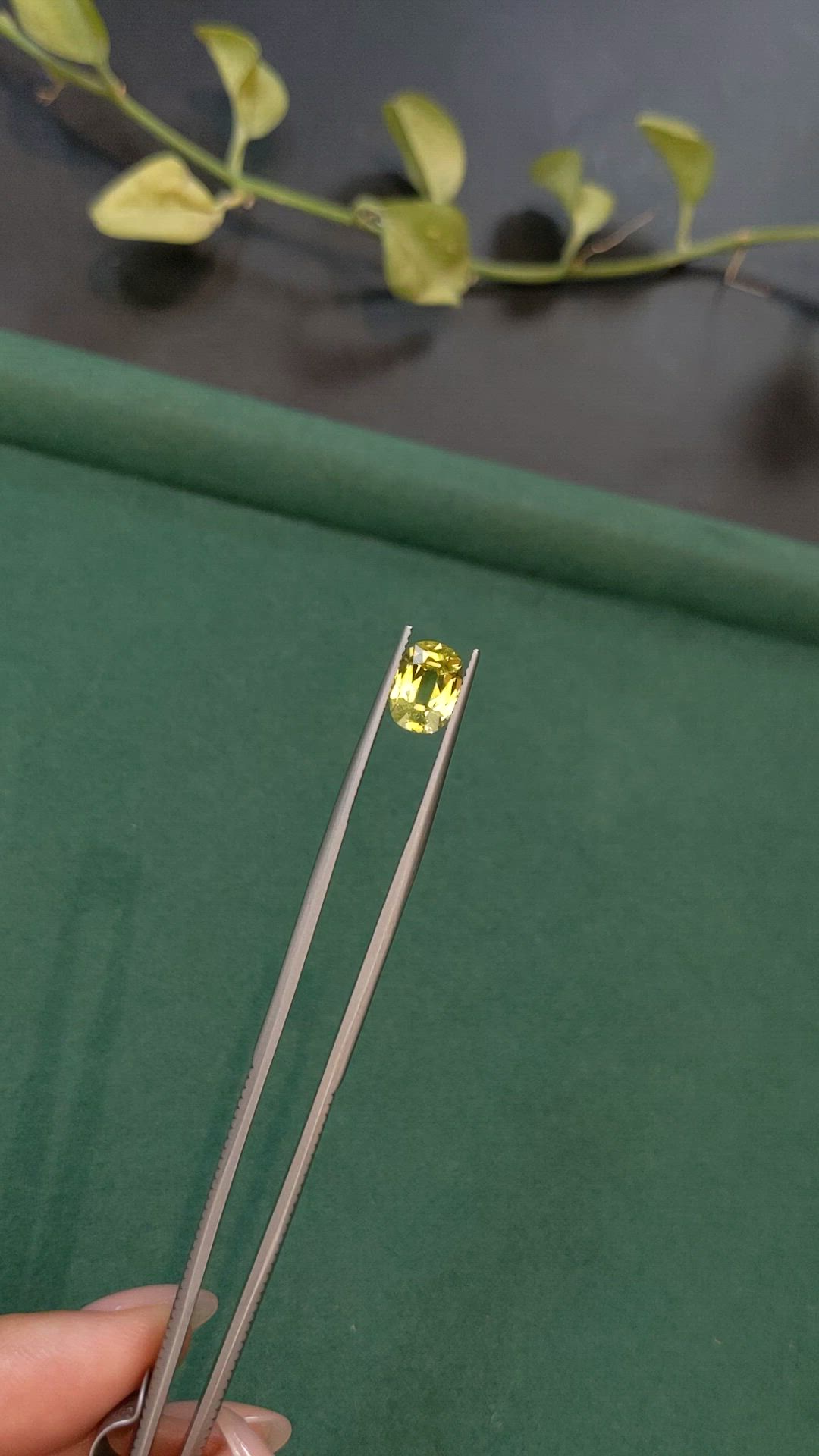 2.25 Ct. Greenish Yellow Chrysoberyl from Ceylon (Sri Lanka) Size Video