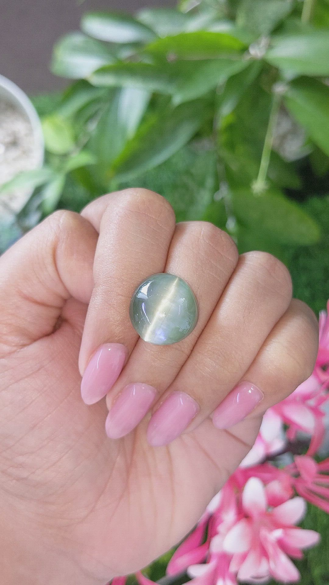 21.64 Ct. Green Chrysoberyl from Ceylon (Sri Lanka) Size Video