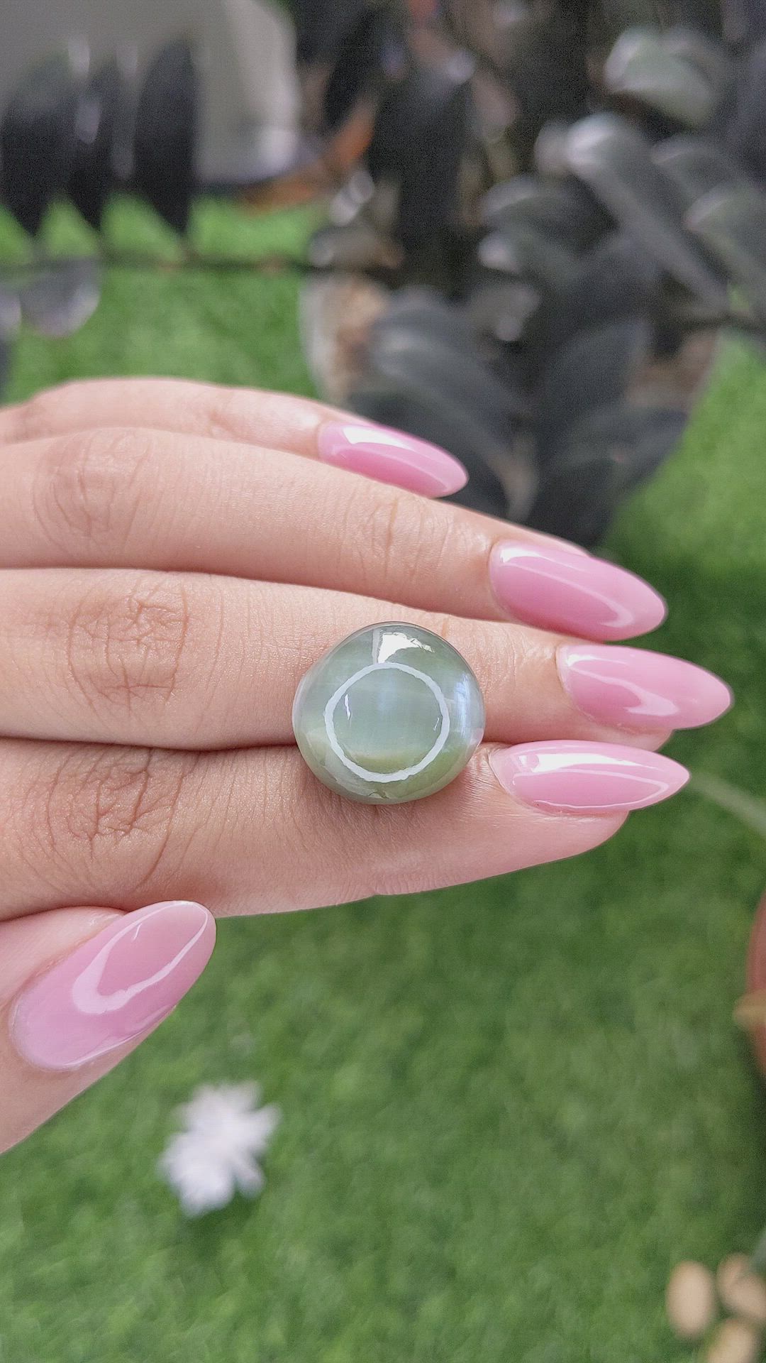 21.64 Ct. Green Chrysoberyl from Ceylon (Sri Lanka) Size Video