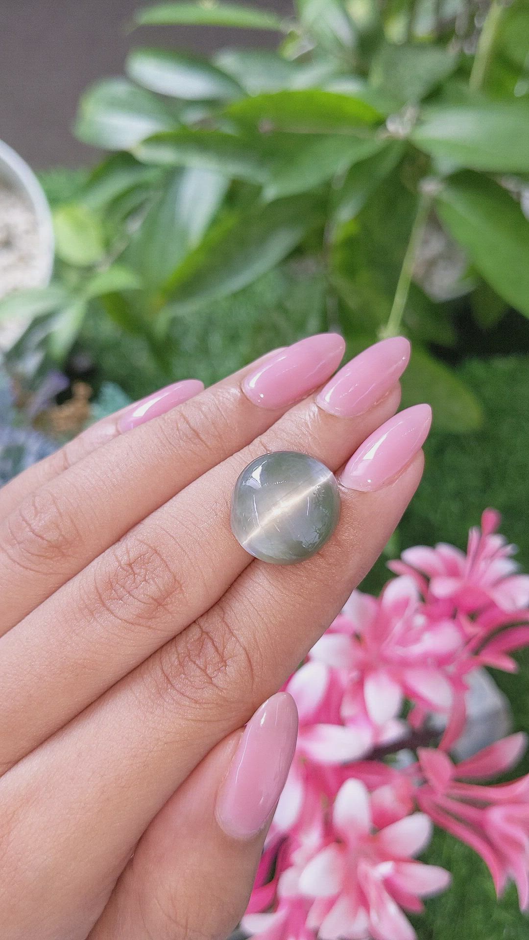21.64 Ct. Green Chrysoberyl from Ceylon (Sri Lanka) Size Video