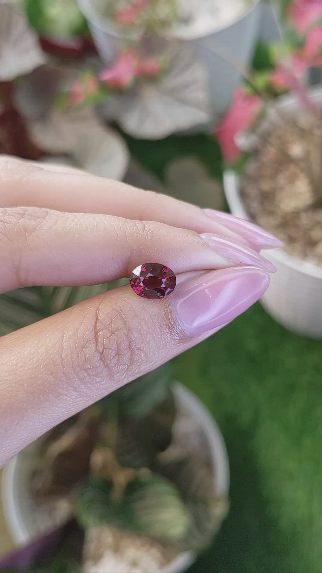 2.38 Ct. Red Garnet from Ceylon (Sri Lanka) Size Video