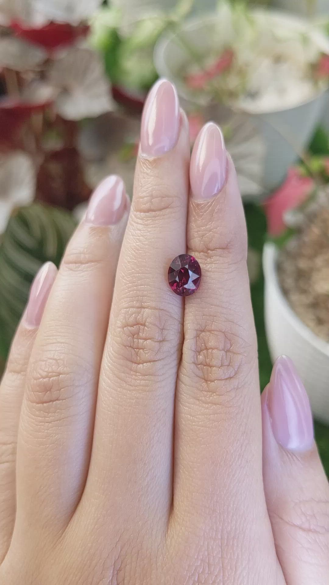 2.38 Ct. Red Garnet from Ceylon (Sri Lanka) Size Video
