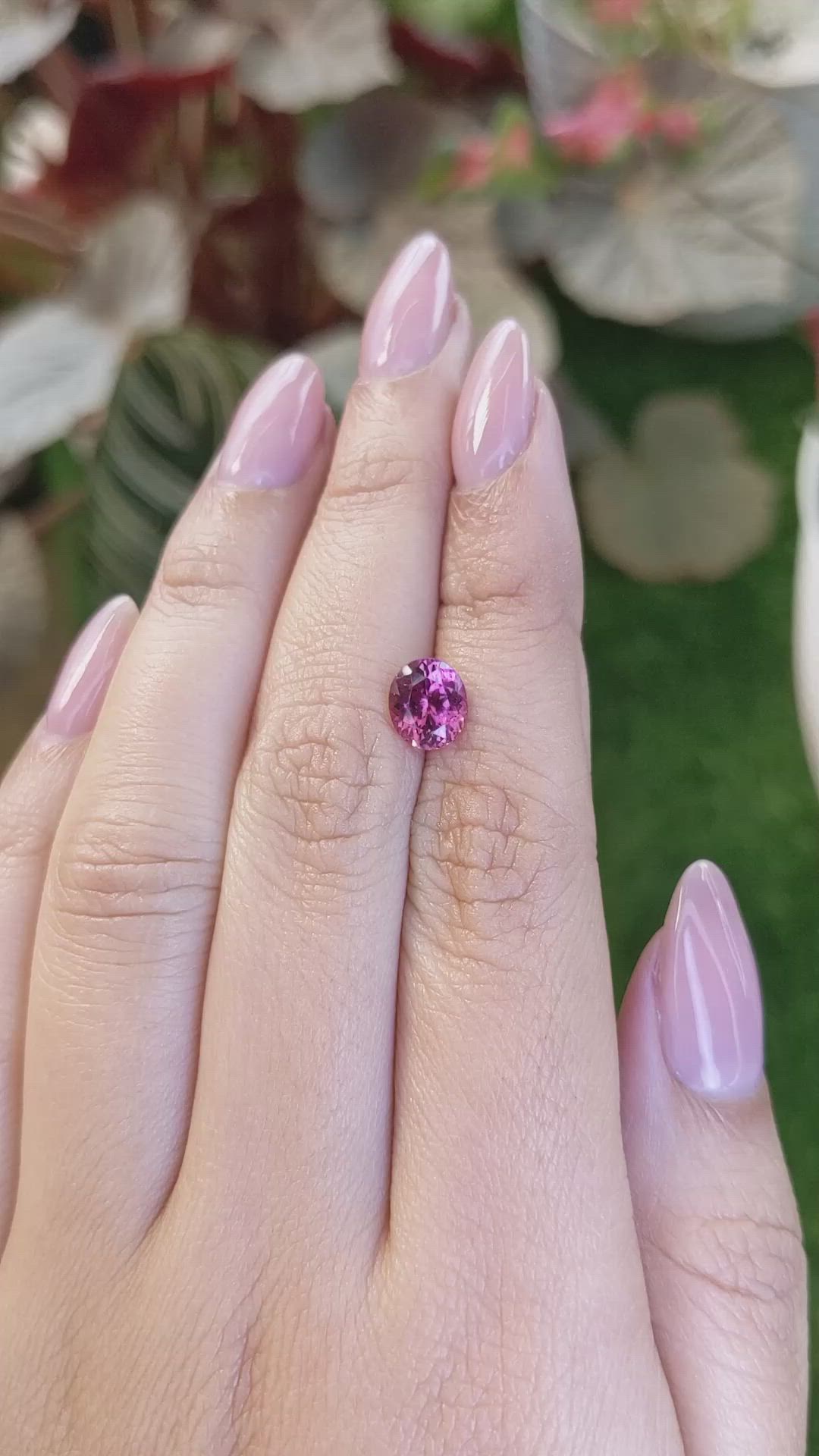 1.64 Ct. Pink Spinel from Ceylon (Sri Lanka) Size Video