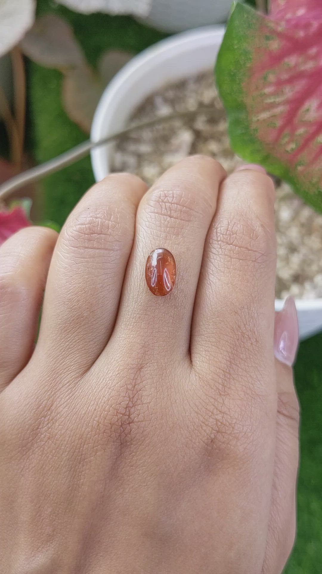 2.07 Ct. Orange Cabochon Hessonite Garnet from Madagascar Size Video