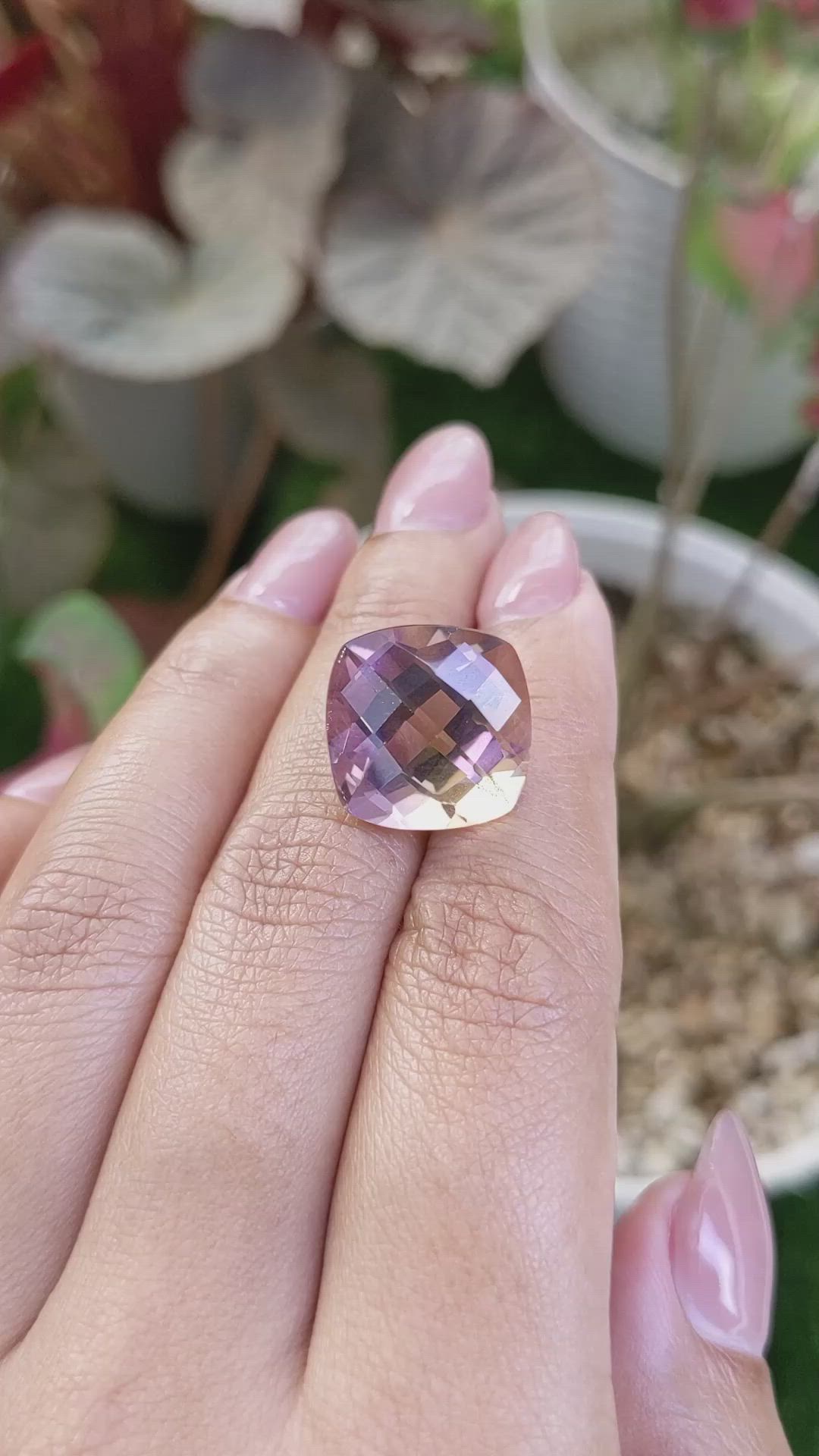 15.68 Ct. Bi Color Ametrine from Madagascar Size Video