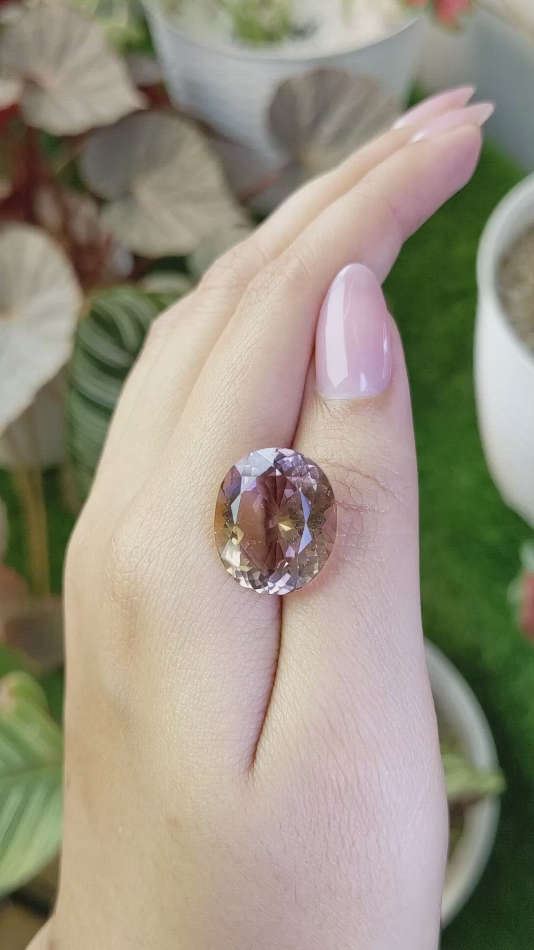 17.10 Ct. Bi Color Ametrine from Madagascar Size Video