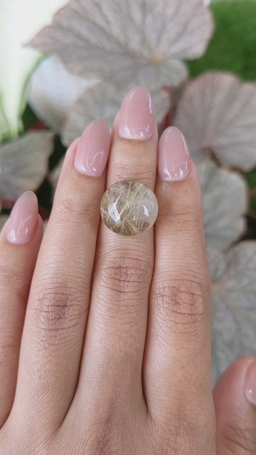 12.71 Ct. Brown Cabochon Rutilated Quartz from Ceylon (Sri Lanka) Size Video