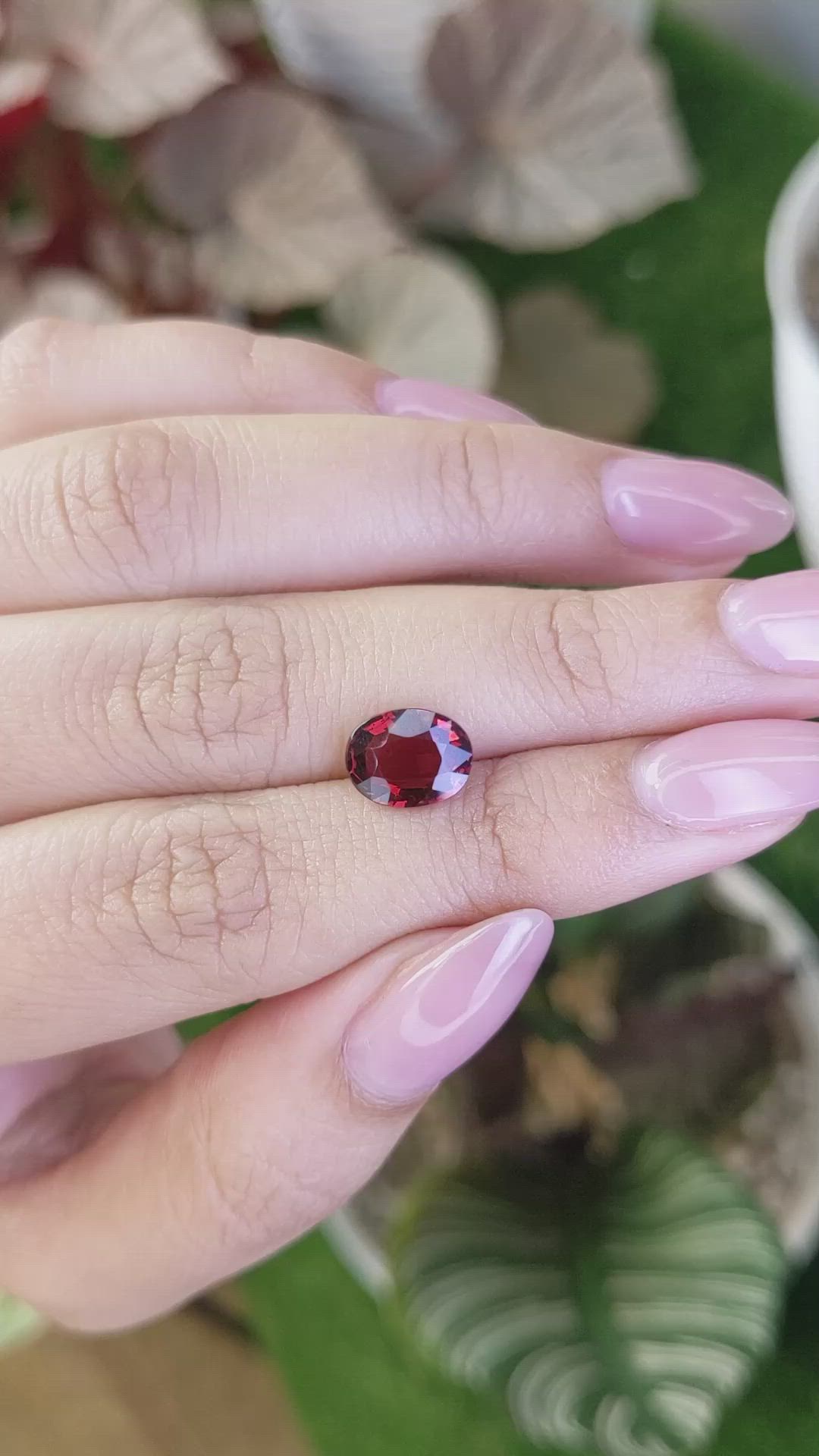 2.48 Ct. Red Almandine Garnet from Ceylon (Sri Lanka) Size Video